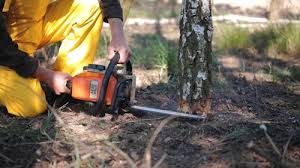 Best Lawn Grading and Leveling  in Saticoy, CA