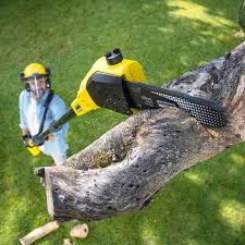 Best Lawn Mowing  in Saticoy, CA